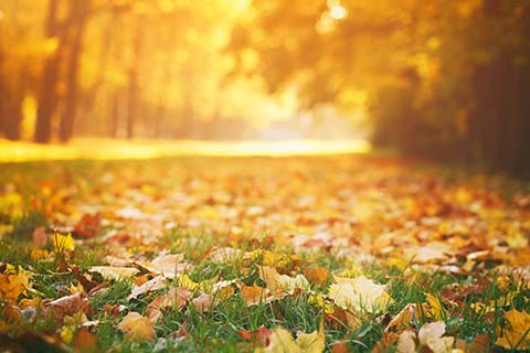 2023 Fall Conference and Regent Awards